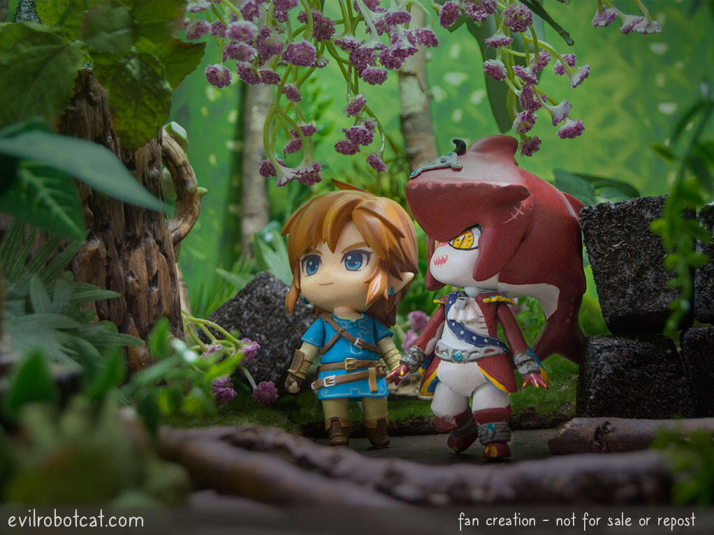 Forest Walk Forest Walk
